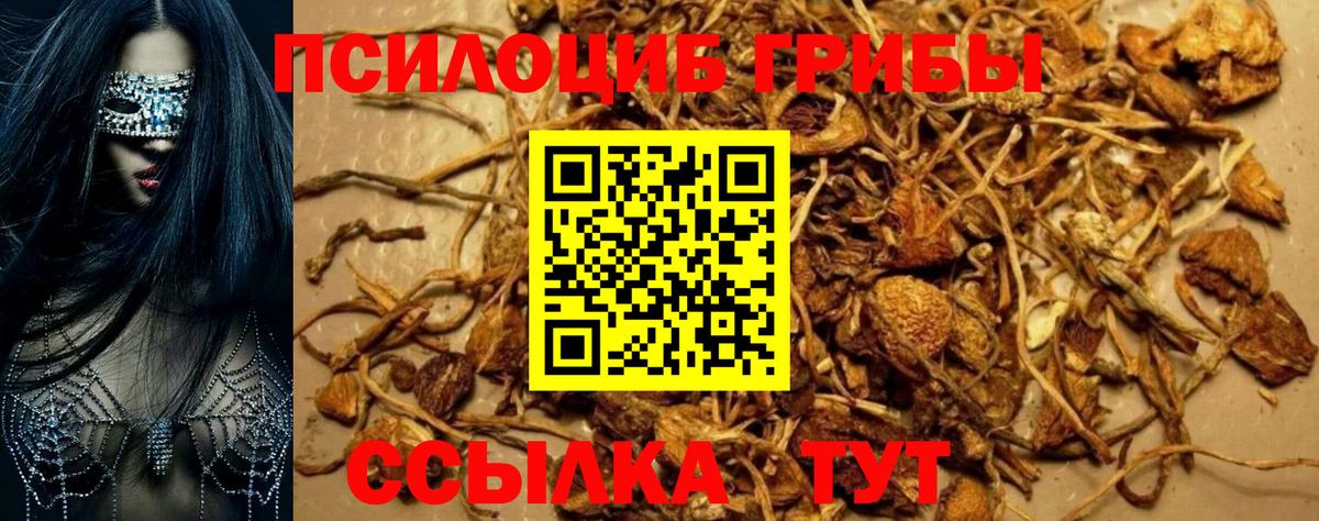 Псилоцибиновые грибы MAGIC MUSHROOMS  Галлюциногенные грибы Psilocybe  Вход с VPN  Омск 